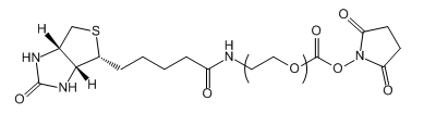 Biotin-PEG-NHS；生物素-聚乙二醇-活性酯；Biotin-PEG-SC