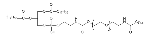 DSPE-PEG-Cy7.5;二硬脂酰基磷脂酰乙醇胺-聚乙二醇-花青素Cy7.5