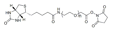 Biotin-PEG-SCM；生物素-聚乙二醇-琥珀酰亚胺羧甲基酯；Biotin-PEG-Succinimidyl Carboxymethyl Ester
