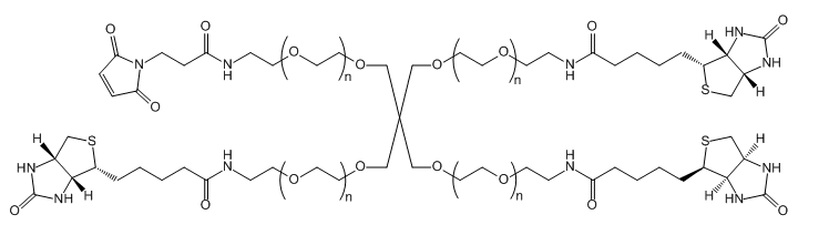4-ArmPEG-(3Biotin-1Mal)应用于医学研究