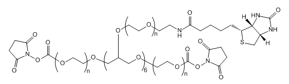 8-ArmPEG-(2ARM-NHS,6ARM-Biotin)应用于医学研究