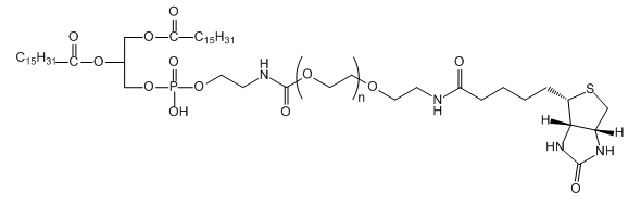 DPPE-PEG-BIOTIN；二棕榈酰磷酯酰乙醇胺-聚乙二醇-生物素