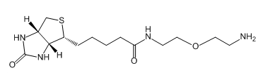 Biotin-PEG1-NH2；811442-85-0；生物素-乙二醇-氨基