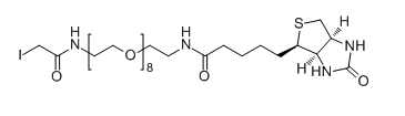 IA-PEG8-Biotin；碘乙酰基-八聚乙二醇-生物素；Iodoacetate-PEG8-Biotin