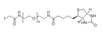 IA-PEG4-Biotin；碘乙酰基-四聚乙二醇-生物素；Iodoacetate-PEG4-Biotin