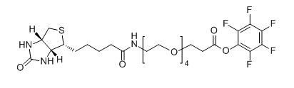 Biotin-PEG4-PFP；生物素-四聚乙二醇-五氟苯酯；Biotin-PEG4-Pentafluorophenyl ester