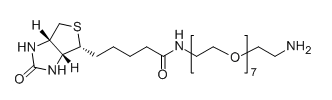 Biotin-PEG7-NH2； 1334172-76-7；生物素-七聚乙二醇-氨基