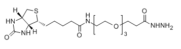 Biotin-PEG3-HZ；1381861-94-4；Biotin-PEG3-Hydrazide