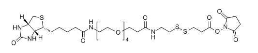 CAS No.：  1260247-51-5，Biotin-PEG4-S-S-NHS