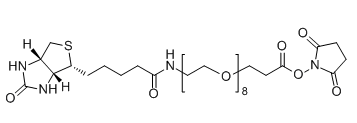 Biotin-PEG8-SPA；2143968-03-8；Biotin-PEG8-NHS
