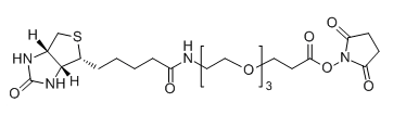 Biotin-PEG3-SPA；1253286-56-4；Biotin-PEG3-NHS