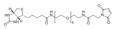 CAS No.：  1808990-66-0；Biotin-PEG6-NH-Mal的基本信息表