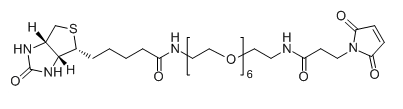 CAS No.：  1808990-66-0；Biotin-PEG6-NH-Mal的介绍