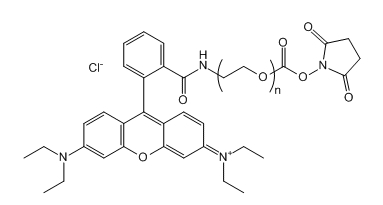 RB-PEG-SC；罗丹明B-聚乙二醇-琥珀酰亚胺碳酸酯；RB-PEG-NHS