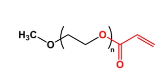mPEG-AC；甲氧基聚乙二醇丙烯酸酯；mPEG-Acrylate mPEG-AC 