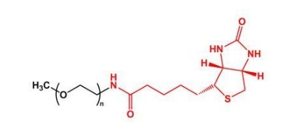 mPEG-Biotin；mPEG-BN；甲氧基聚乙二醇生物素 