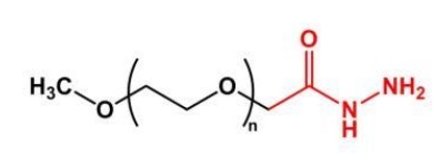 mPEG-Hydrazide；mPEG-HZ；甲氧基聚乙二醇酰肼 