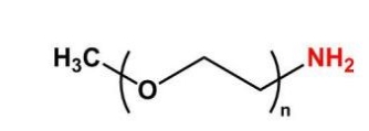 mPEG-NH2； mPEG-Amine；甲氧基聚乙二醇胺
