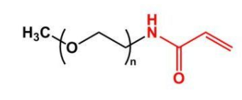 mPEG-ACA；甲氧基聚乙二醇丙烯酰胺 ；mPEG-Acrylamide