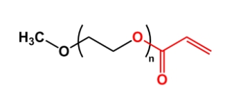  mPEG-AC；mPEG-Acrylate ；甲氧基聚乙二醇丙烯酸酯