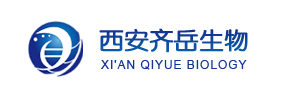 GSH响应的介孔二氧化硅载雷帕霉素-PEG-RB/CY3/CY3.5/CY5/CY5.5/CY7
