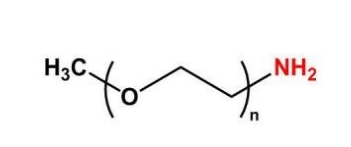 mPEG-NH2；mPEG-Amine；甲氧基聚乙二醇胺