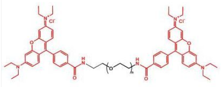 Rhodamine-PEG-Rhodamine；二罗丹明聚乙二醇；RB-PEG-RB