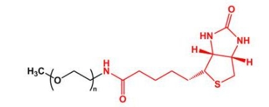 mPEG-Biotin；mPEG-BN；甲氧基聚乙二醇生物素 