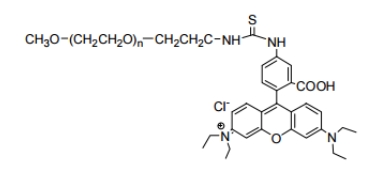 mPEG-Rhodamine B；甲氧基聚乙二醇罗丹明 