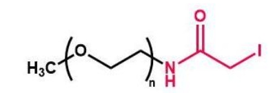 mPEG-IA；mPEG-Iodine；甲氧基聚乙二醇酰碘乙酰胺 