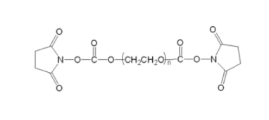 SC-PEG-SC；二琥珀酰亚胺碳酸酯聚乙二醇；PEG-(bis) Succinimidyl ester