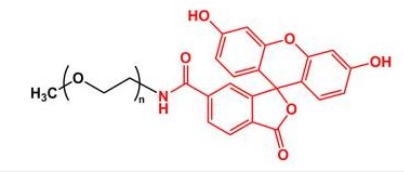 mPEG-Fluoresein；mPEG-FITC；甲氧基聚乙二醇荧光素
