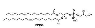 383907-64-0；sodium salt；磷脂酰甘油