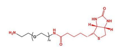 NH2-PEG-Biotin；氨基聚乙二醇生物素；Biotin-PEG-NH2