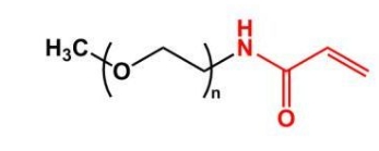 mPEG-ACA；mPEG-Acrylamide；甲氧基聚乙二醇丙烯酰胺 