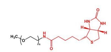 mPEG-Biotin；mPEG-BN；甲氧基聚乙二醇生物素 