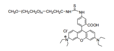 mPEG-Rhodamine B；mPEG-RB；甲氧基聚乙二醇罗丹明 