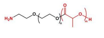 PLA-PEG-NH2；聚乳酸聚乙二醇氨基；NH2-PEG-PLA