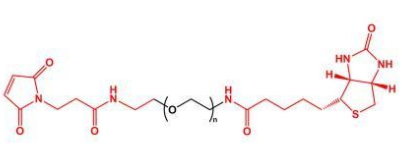 MAL-PEG-Biotin；马来酰亚胺聚乙二醇生物素；Biotin-PEG-MAL