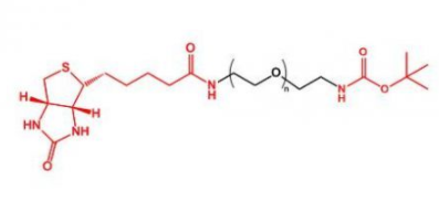 生物素聚乙二醇叔丁氧羰基  Biotin-PEG-NH-Boc