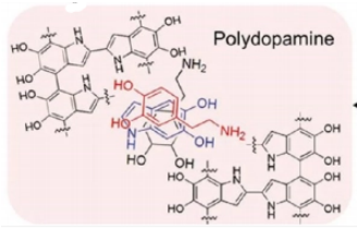 聚多巴胺的结构式