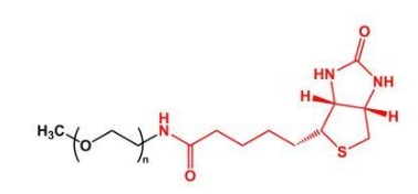 mPEG-Biotin；mPEG-BN；甲氧基聚乙二醇生物素 