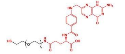 FA-PEG-SH；叶酸聚乙二醇巯基；SH-PEG-Folate