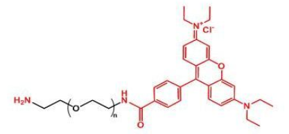 Rhodamine-PEG-NH2；罗丹明聚乙二醇氨基；RB-PEG-NH2