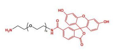 FITC-PEG-NH2；荧光素聚乙二醇氨基；Amine-PEG-FITC