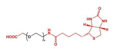 COOH-PEG-Biotin；羧基聚乙二醇生物素；Biotin-PEG-COOH