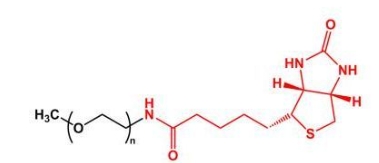 mPEG-Biotin；甲氧基聚乙二醇生物素 