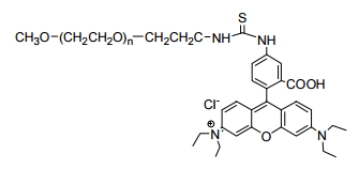 mPEG-Rhodamine B；甲氧基聚乙二醇罗丹明 