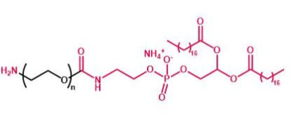 DSPE-PEG-NH2；磷脂聚乙二醇氨基；DSPE-PEG-Amine