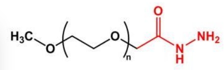 mPEG-Hydrazide；mPEG-HZ；甲氧基聚乙二醇酰肼 